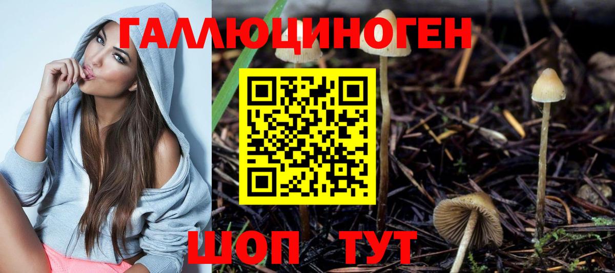 Галлюциногенные грибы Psilocybine cubensis  Вход с VPN  Нефтекумск 